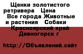 Щенки золотистого ретривера › Цена ­ 15 000 - Все города Животные и растения » Собаки   . Красноярский край,Дивногорск г.